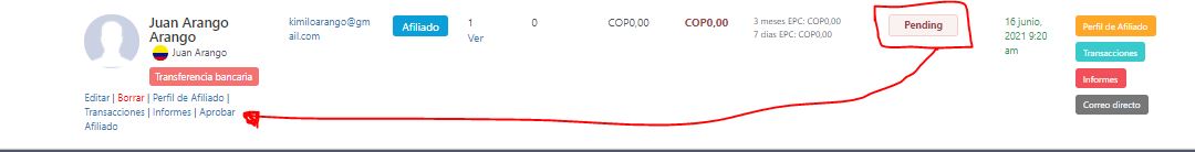 Aprobar Afiliado